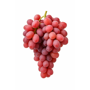 Apulia - Soi roz fară...